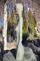 Langhaarig - Torso