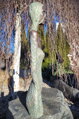 Langhaarig - Torso