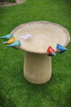 Vogeltränke mit bunten Vögeln