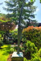 Herrscher