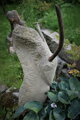 Steinbock