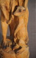 Erdmännchen