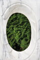 Fenster meiner Liebe