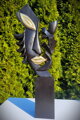 Schwarzer Kopf