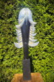Schwarzer Kopf II