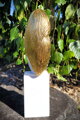 Goldenes Haar IV