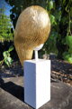 Goldenes Haar V