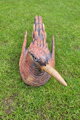 Vogel II