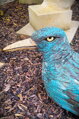 Großer Vogel II