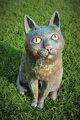 Katzenaugen