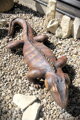 Leguan