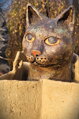 Katzenkauf