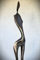 Torso