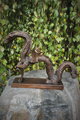 Chinesischer Drache