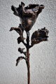 Rosen der Liebe