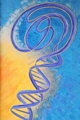DNA I