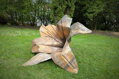 Lilienblume