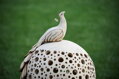Dekorativer Ball mit Pfau