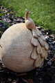 Dekorative Kugel mit Pfau