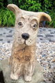  Hund
