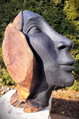 Aprikose