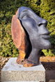 Aprikose