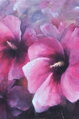Hibiskusblüten - alizarin