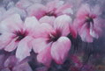 Hibiskusblüten - rosa