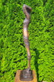 Schatten des Zweifels