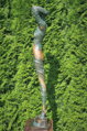 Schatten des Zweifels