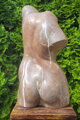 Torso