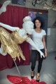 Ballerinas Flug
