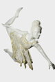 Ballerinas Flug