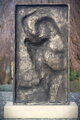 Verschleierte