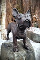 Bulldogge