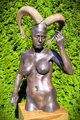Mufflon-Frau