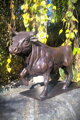 Stier