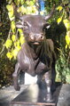 Stier