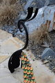 Pfau