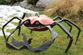 Crab