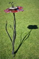 Rote Blume