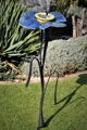 Blau-gelbe Blume