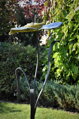 Blau-gelbe Blume