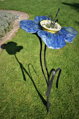 Blau-gelbe Blume