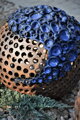 Kugeln mit blauen Blumen