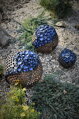 Kugeln mit blauen Blumen