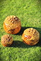 Set aus orangefarbenen Kugeln