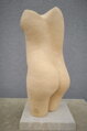 Torso