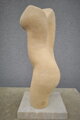 Torso
