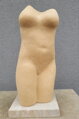 Torso